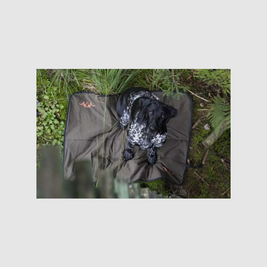 Koc dla psa Blaser HunTec Camo, 70cm x 100cm, zdjęcie 3 z 3