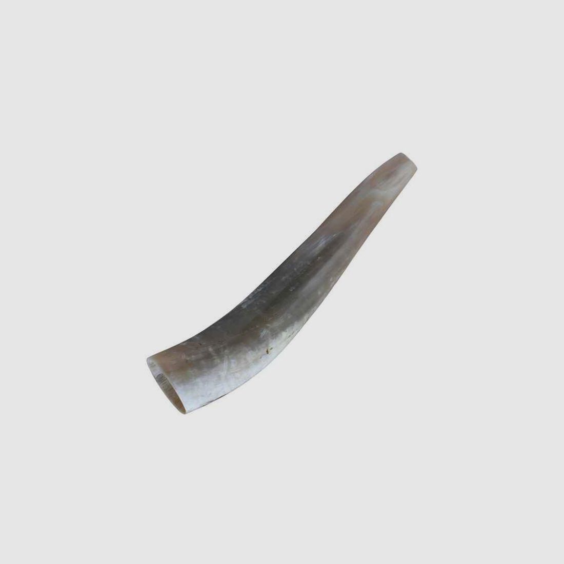 Locker Weisskirchen Hirschruf Ochsenhorn 40 cm inkl. DVD