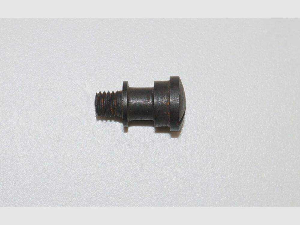 Fábrica de armas de Berna Tornillo de tapa usado para revólver de ordenanza suizo 29