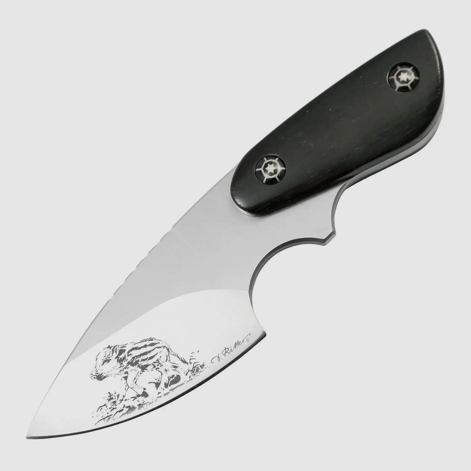PUMA IP sanglier, ébène, couteau de cou