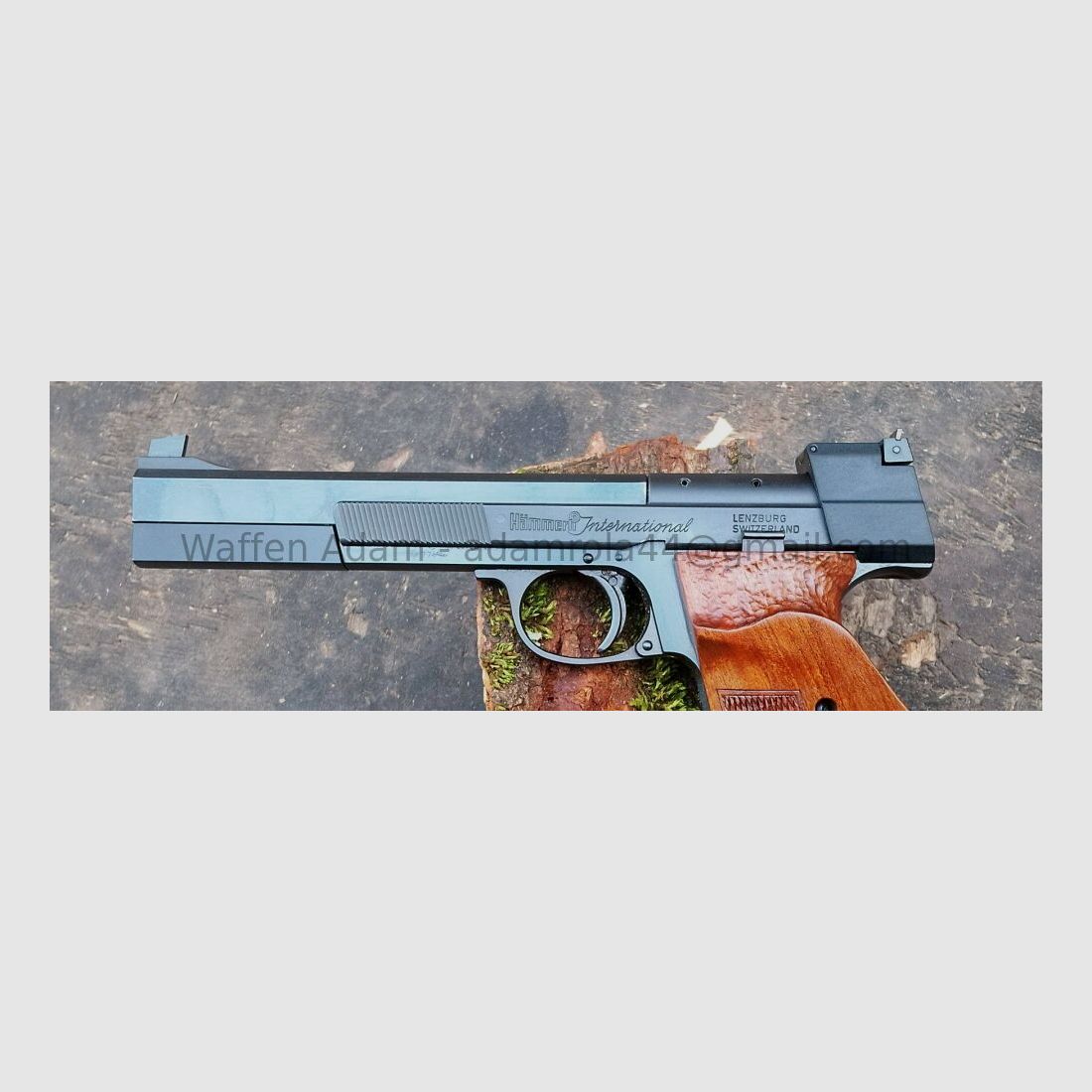 Hammerli Internacional