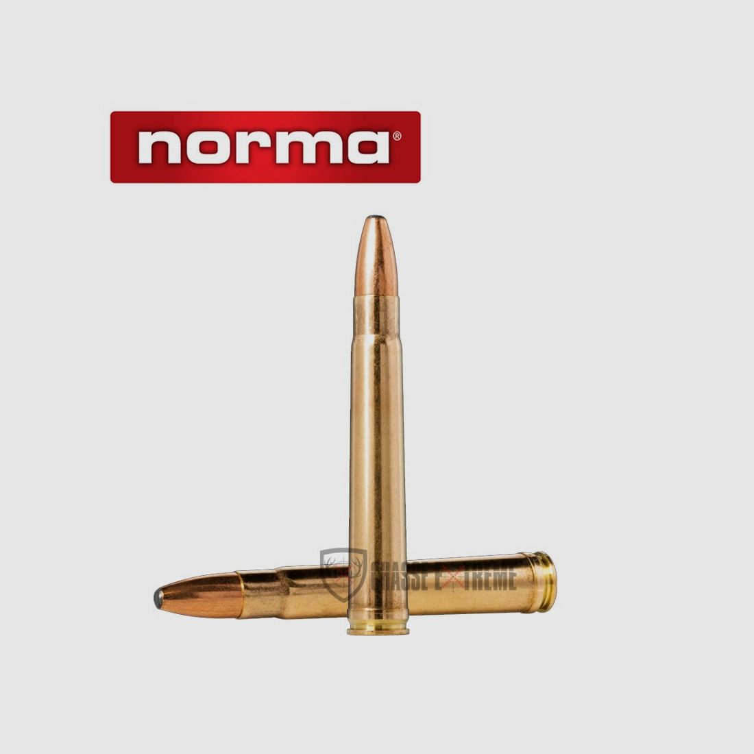 20 cartridges NORMA Cal 375 H&H Mag 300gr Oryx