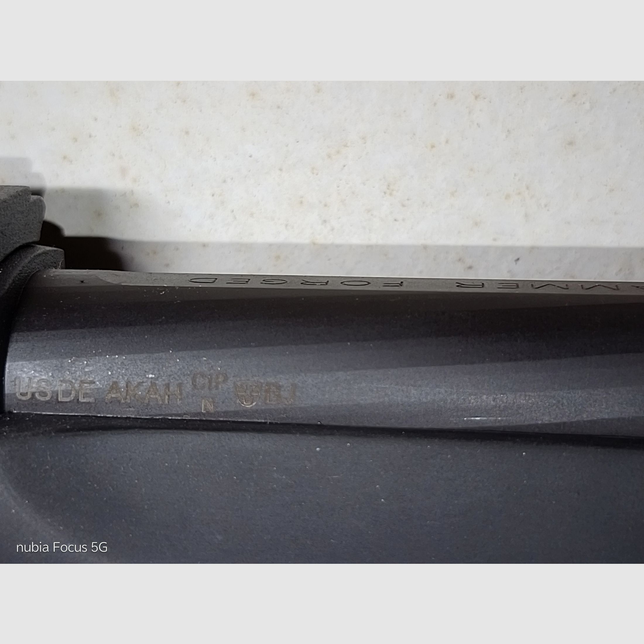 Ruger 10/22 