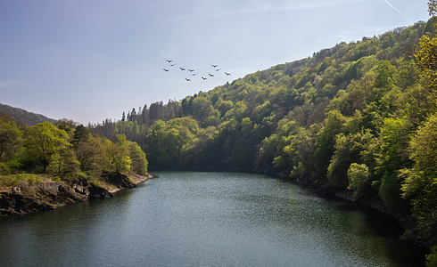 Jagdzeiten Rheinland-Pfalz