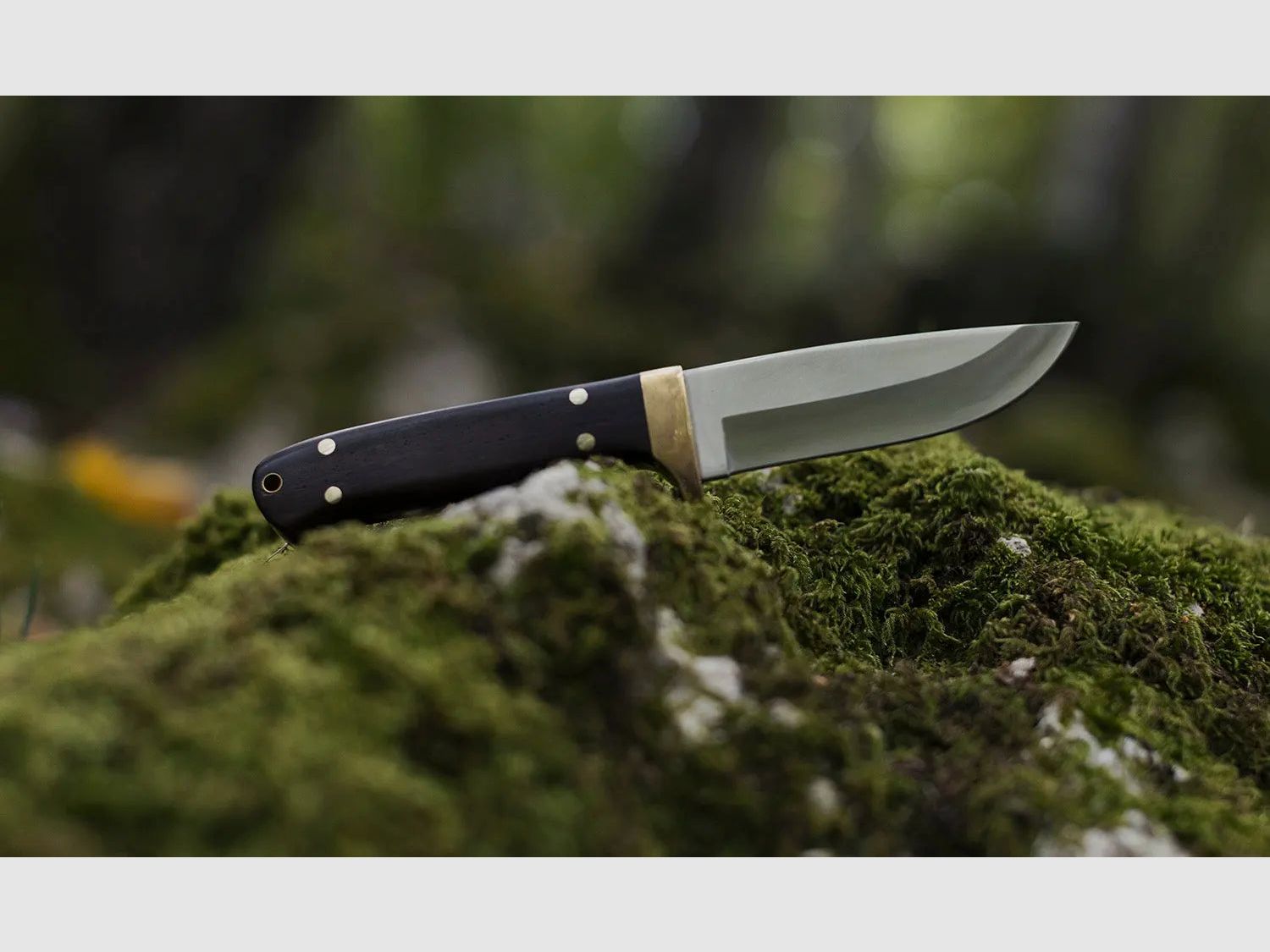 Puma SGB elk hunter, Jacaranda-Holz