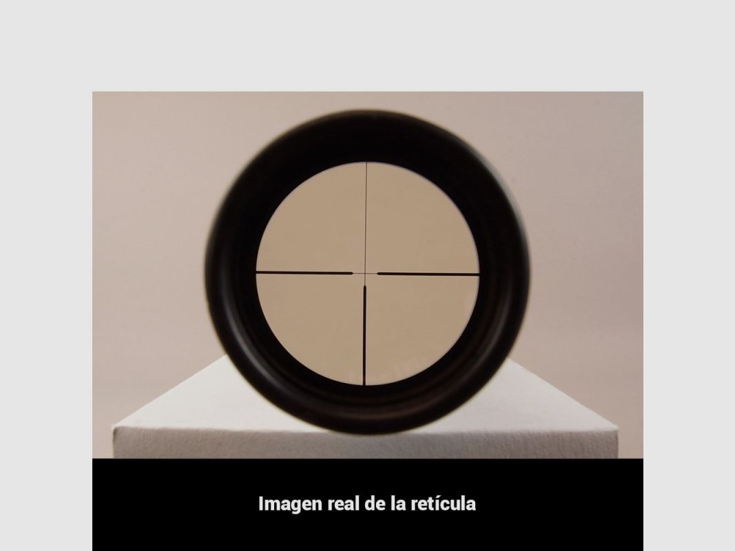 Lunette Arcea 3-9x40 - 25,4mm avec Montages, image 18 sur 21