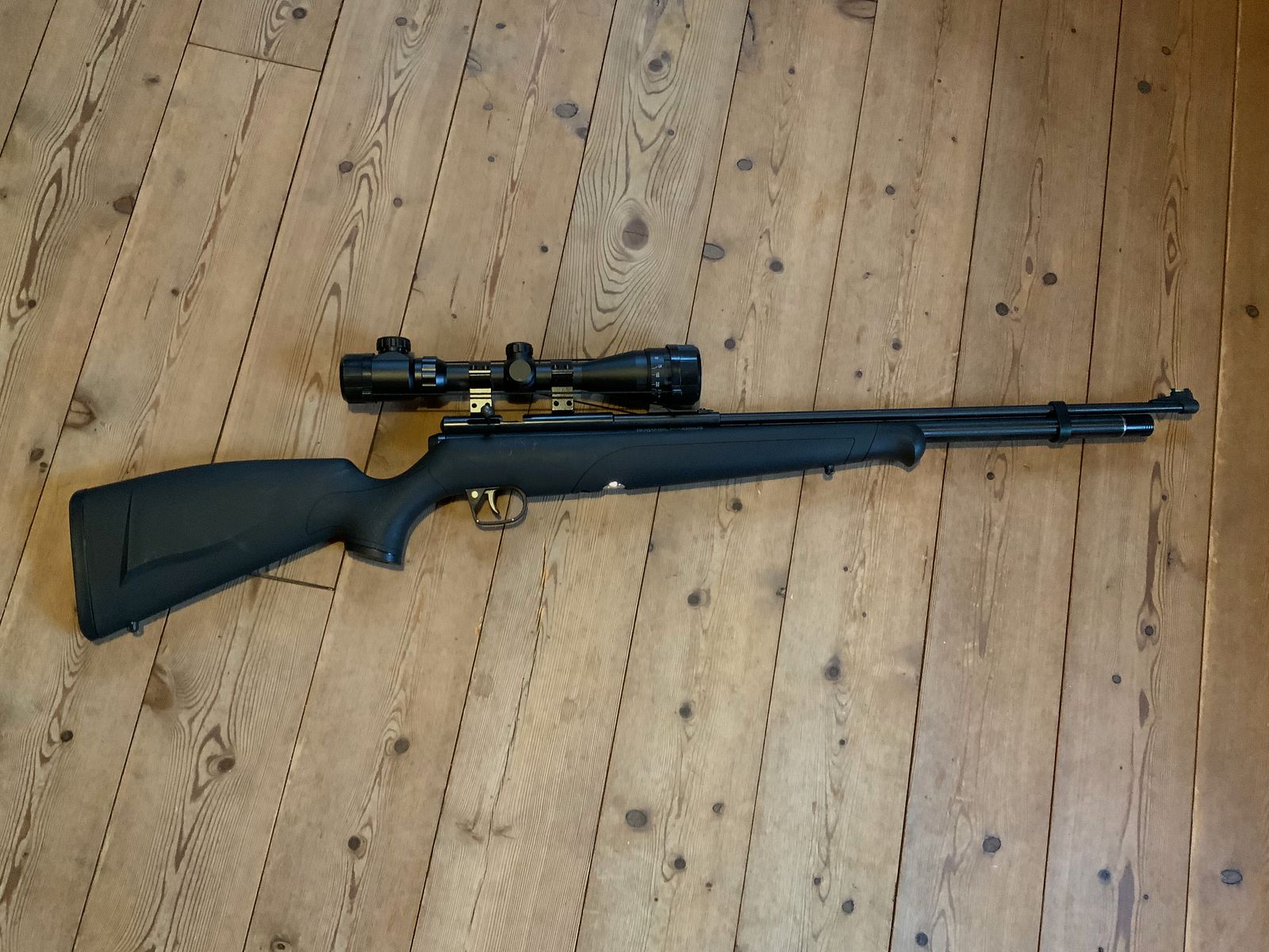 Fucile ad aria compressa Crosman Benjamin Maximus / Fucile ad aria