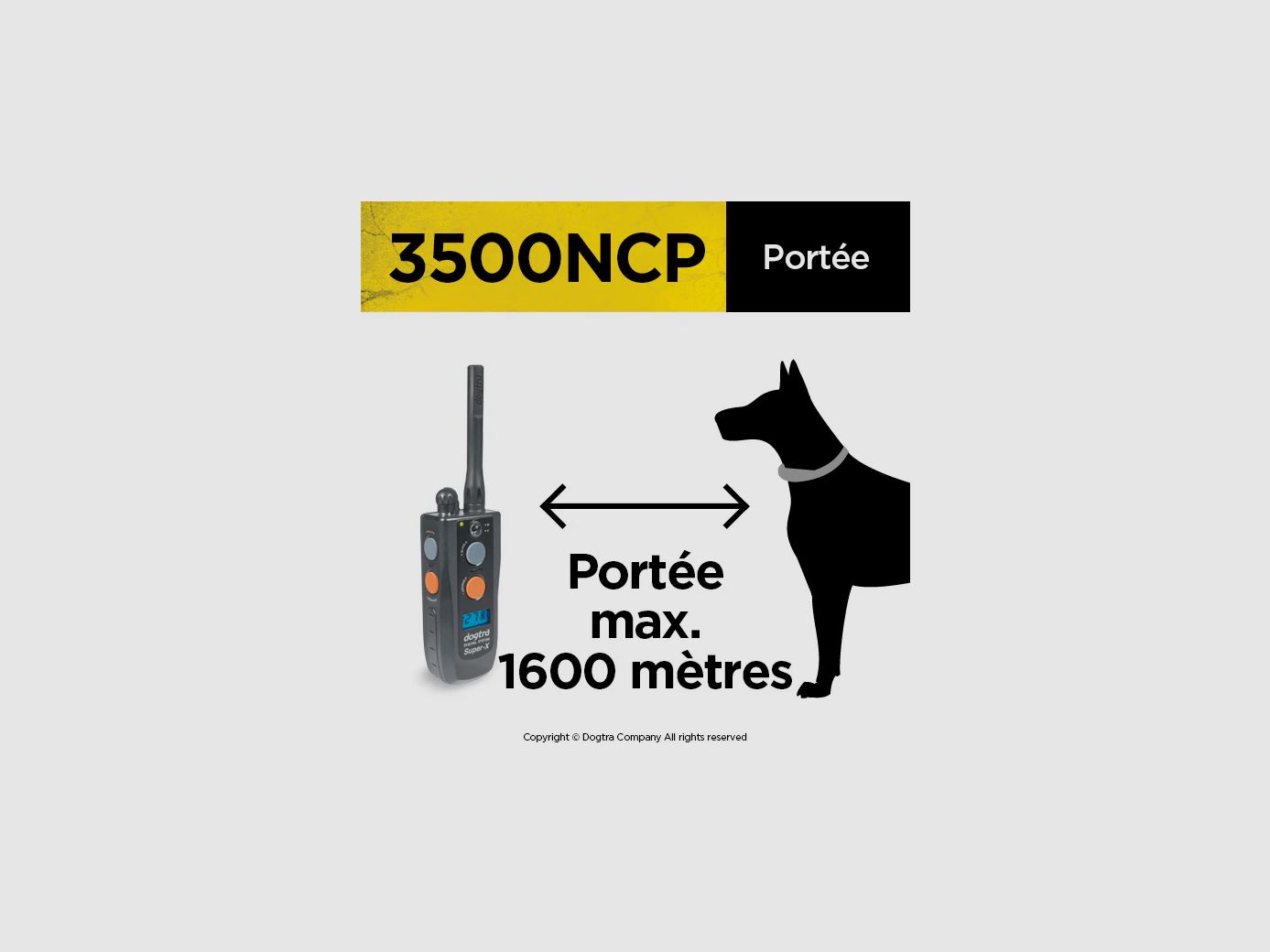 COLLIER DRESSAGE DOGTRA 3500 NCP, image 4 sur 4