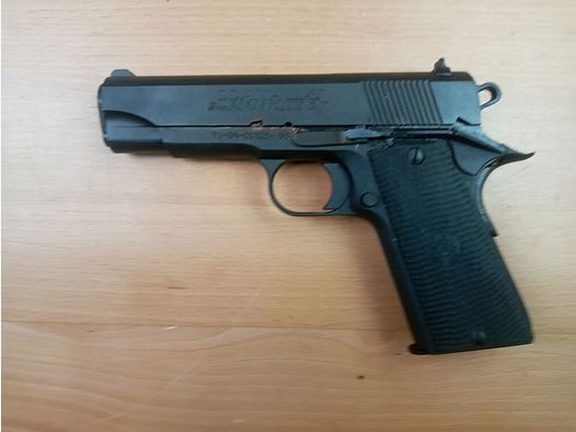 Llama, Spanien Max-I