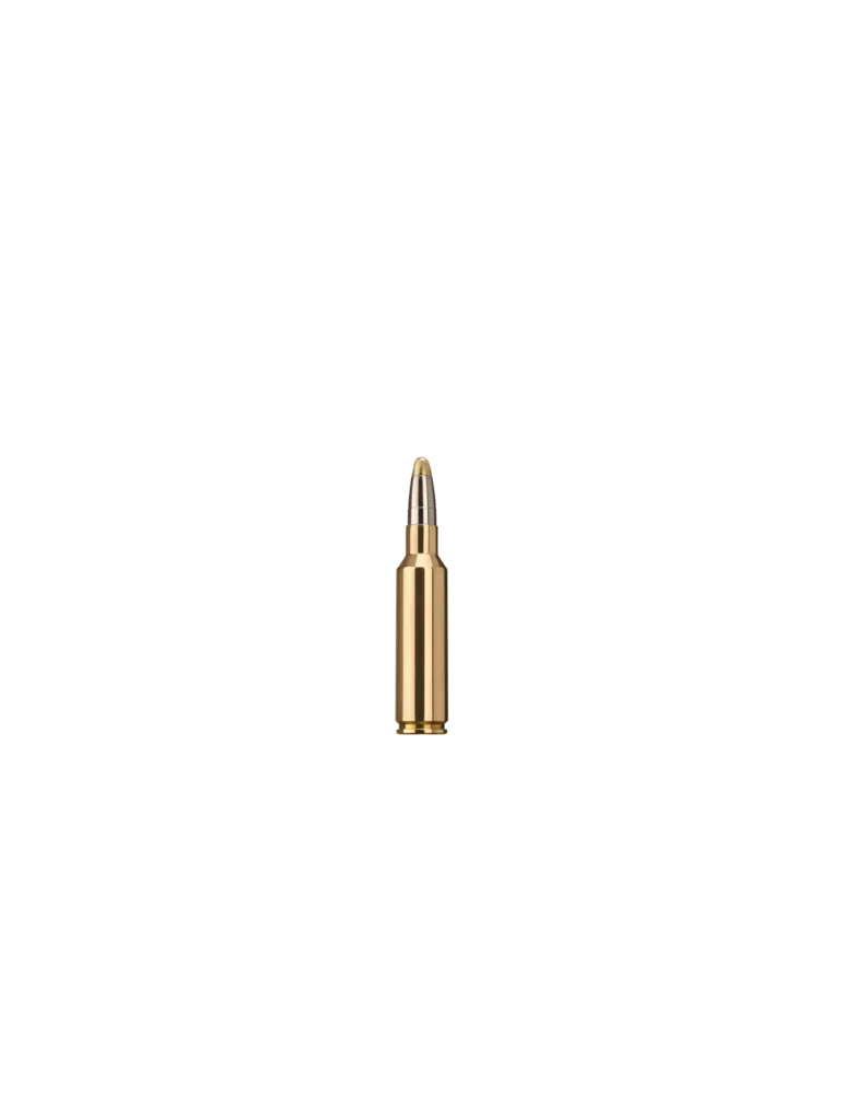 RWS Evolution 300 WSM 184 grains