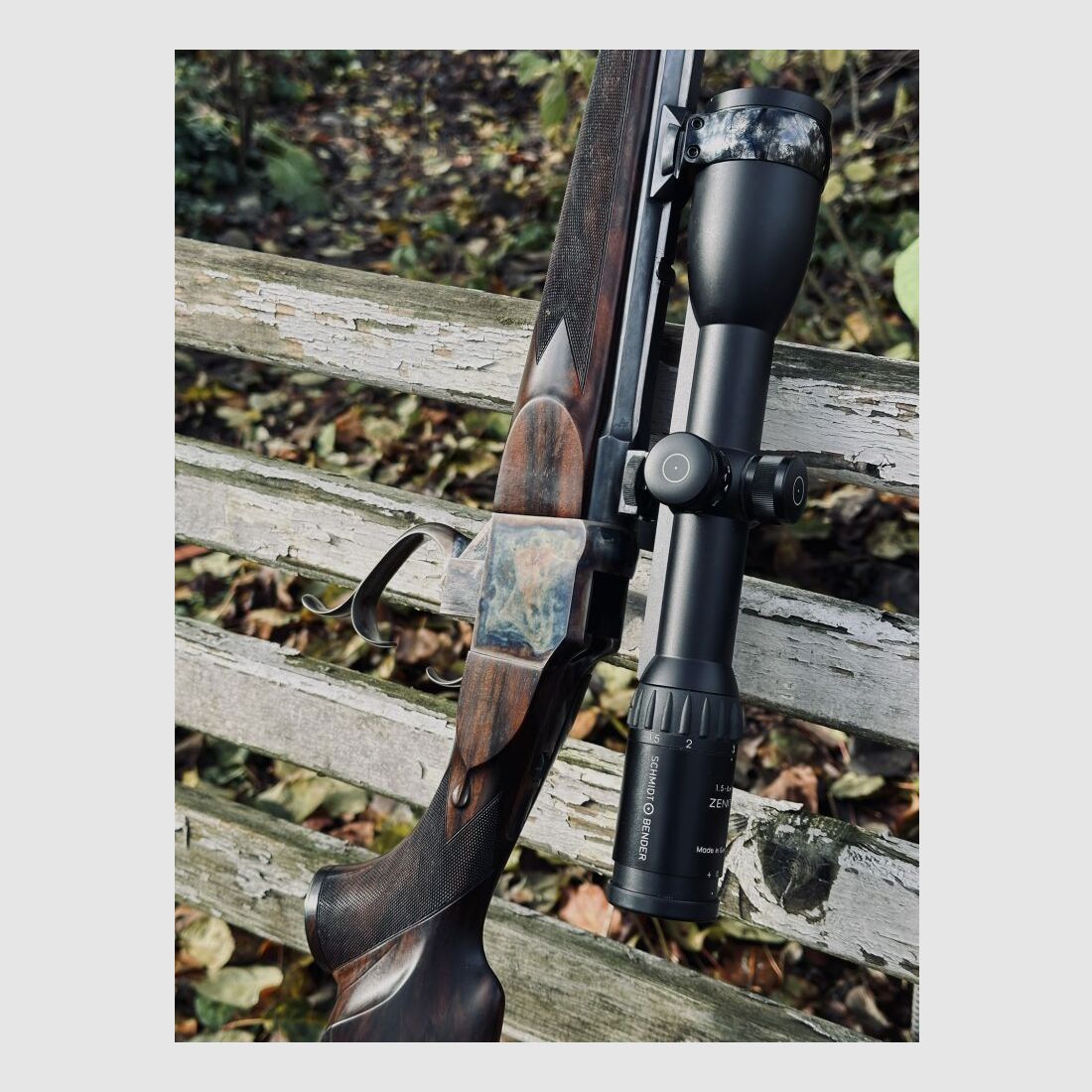 System Hagn (Hartmann und Weiss) Unikat