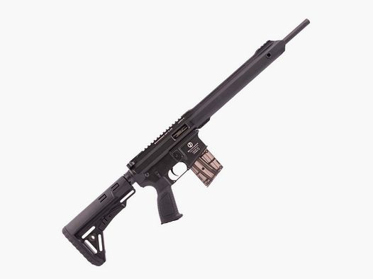 Schmeisser AR15-22 Sport 16 pulgadas