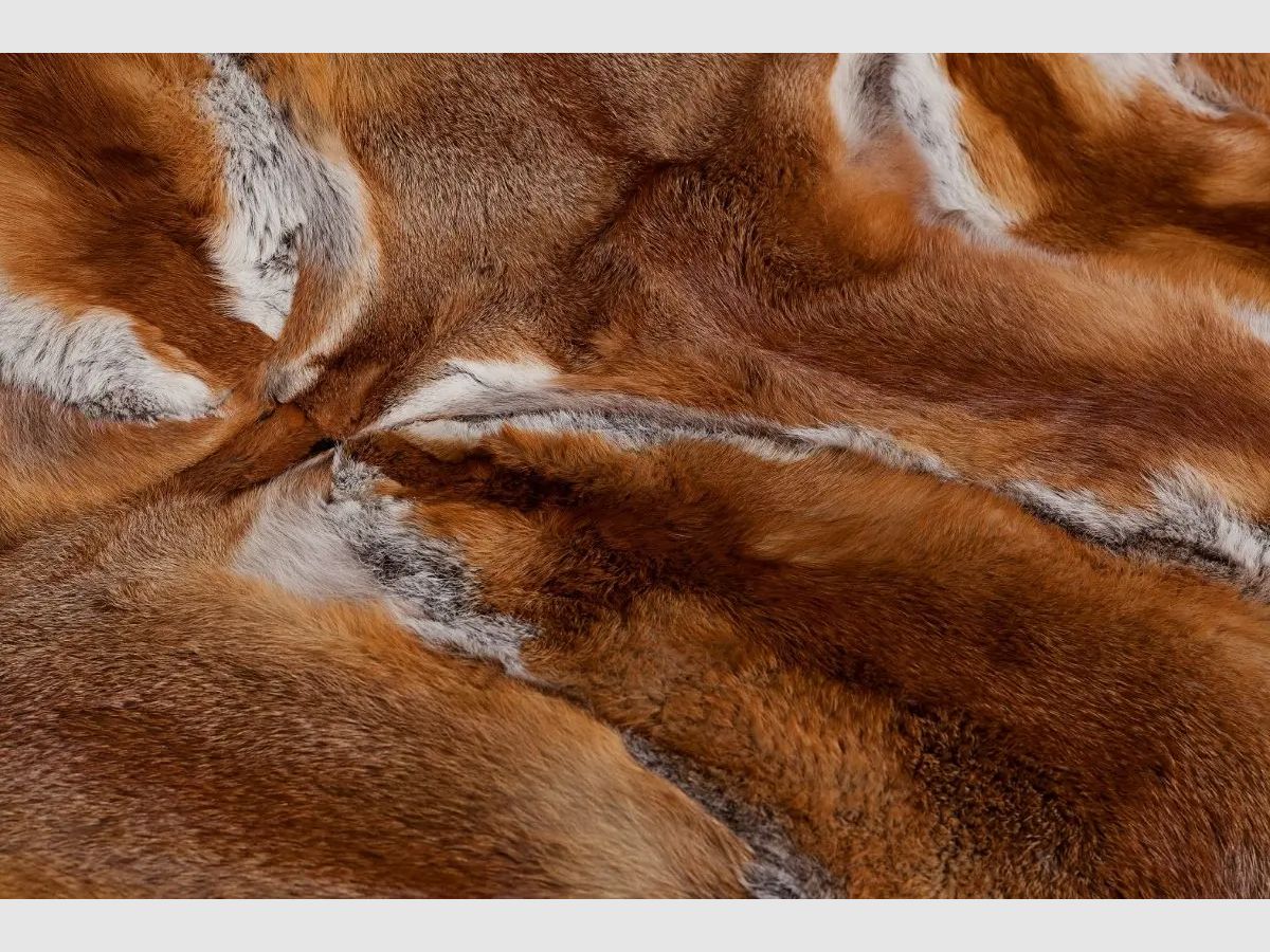 Hofstetter Rotfuchs Cavalli Decke