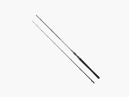 Canna Casting Daiwa Exceler 682 HFB 2,03 m 14-42 g