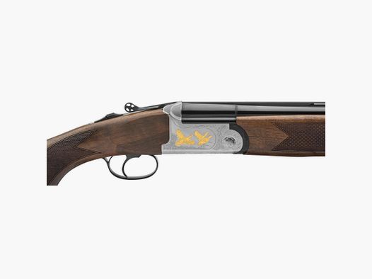 FAIR DC06M CLASSIC ERGAL EXT MD CAL 12-76 CAN 71