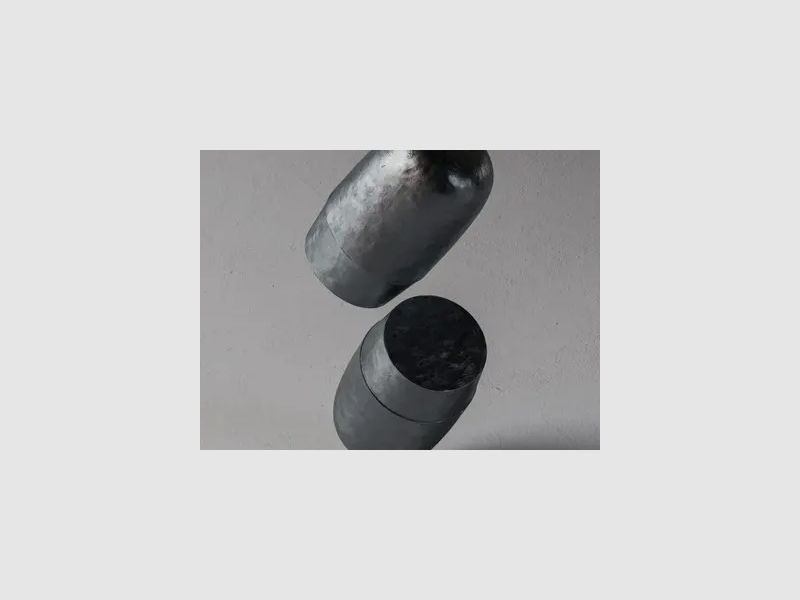 ZAN ELR Slugs | 5,5 mm (.22) | 35,5 gr, Bild 9 von 15