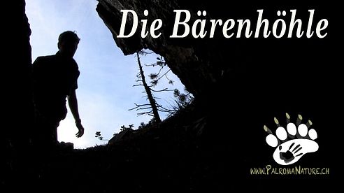 Die Bärenhöhle | The Bear Cave | Braunbär Schweiz