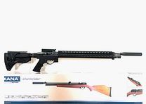 Luftgewehr Diana Stormrider mit Aluminium AR15-Tactical-Schaftsystem, F frei ab 18 mit 35J Exportkit
