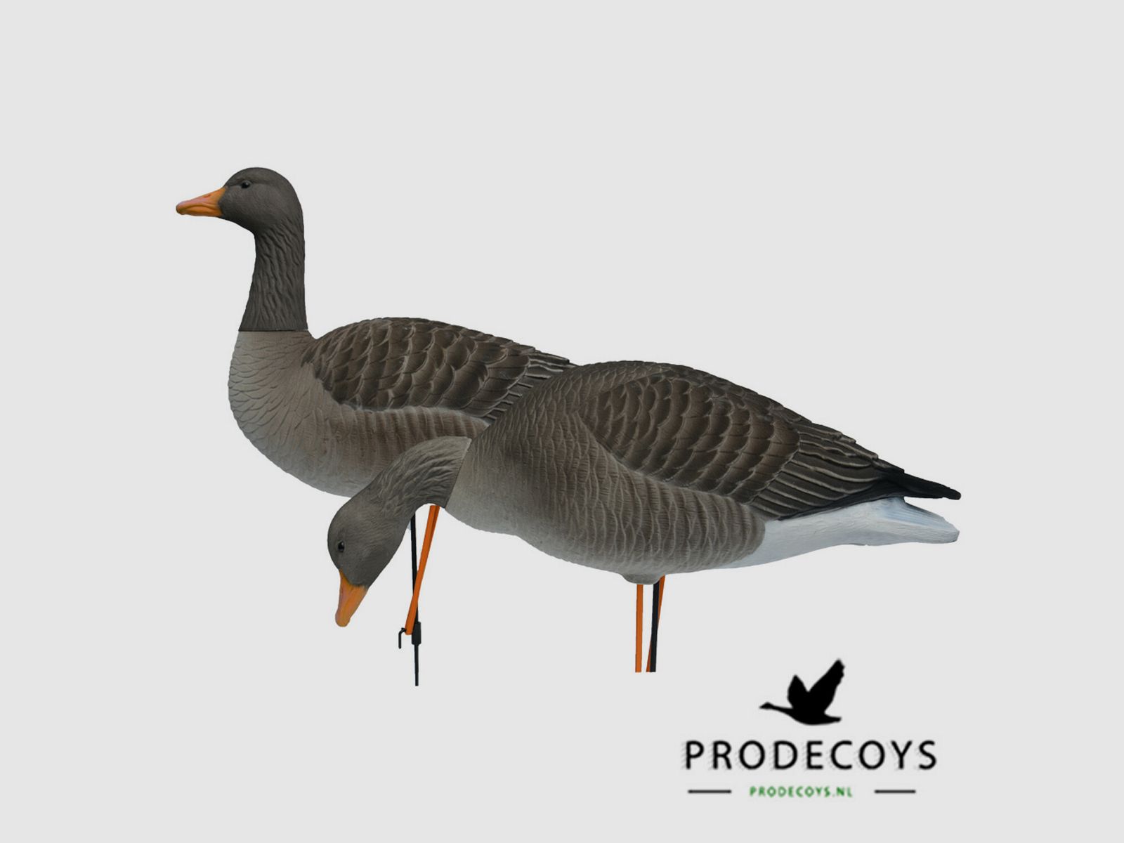 Prodecoys Graugans-Lockvögel Elite beflockt (6)