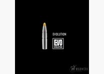 RWS Evolution