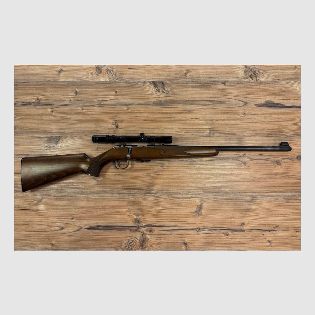 Anschütz RB 22lr Anschütz