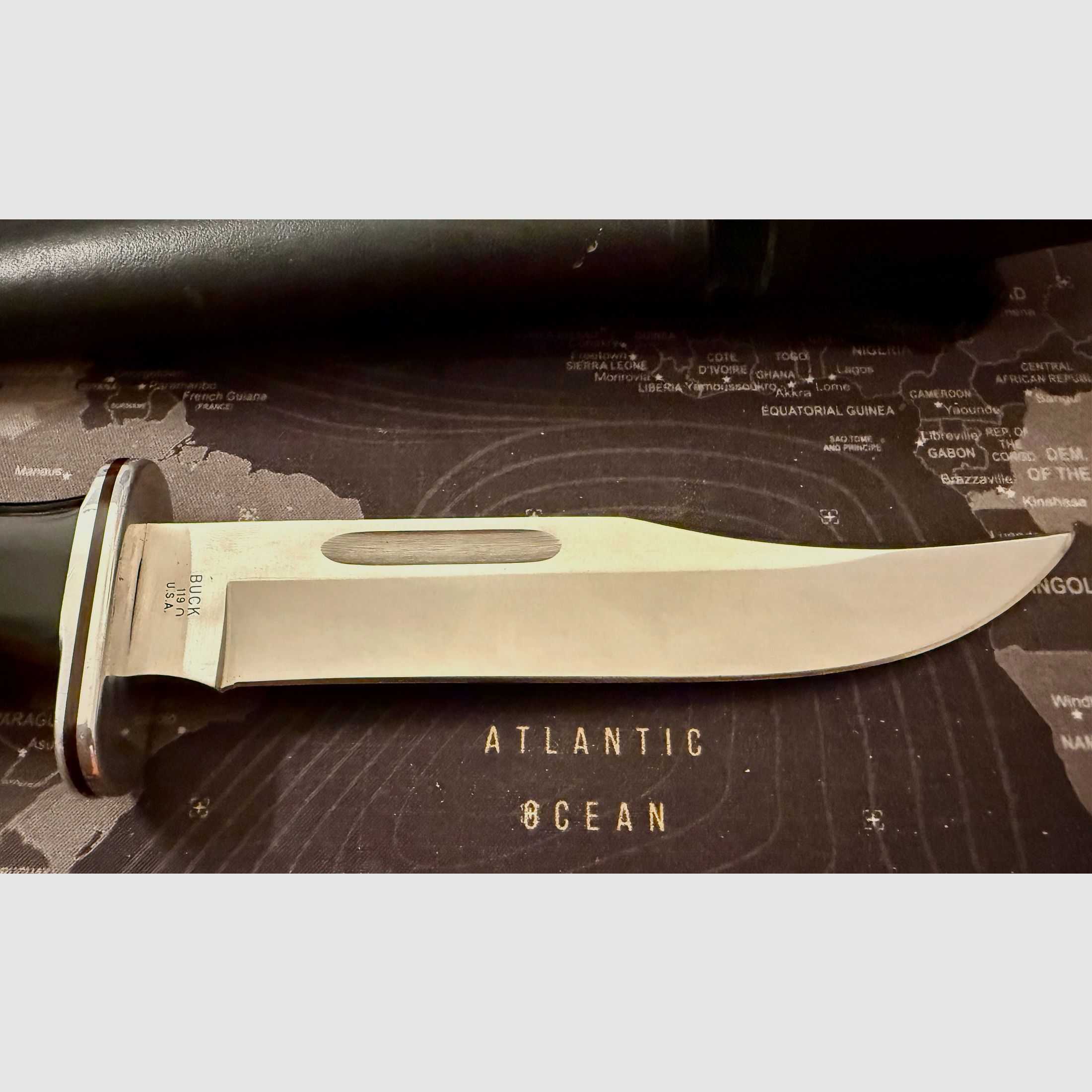 Buck 119 Bowie Messer Outdoor