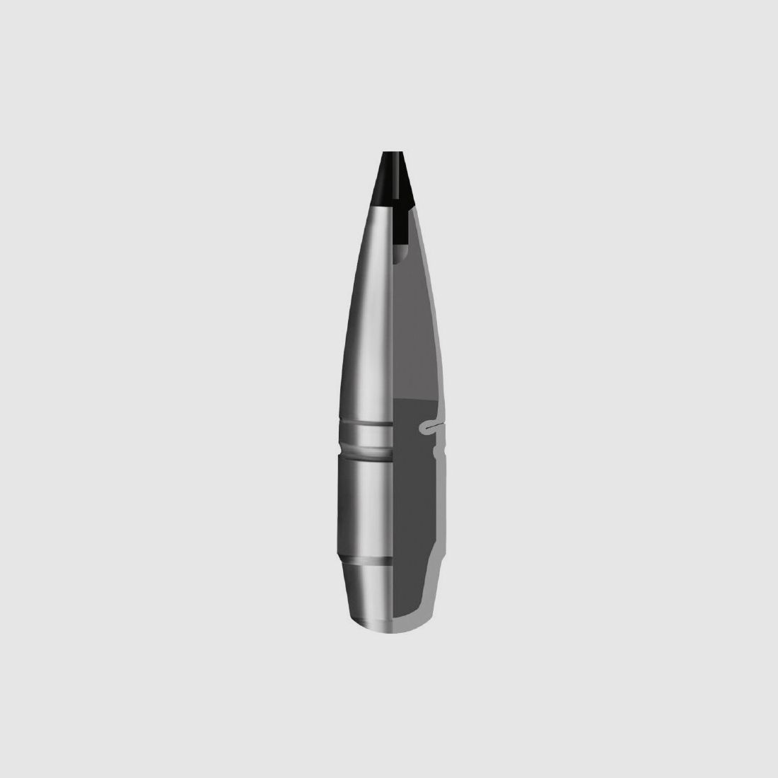 RWS Speed Tip Short 165gr 20pz .30-06Spring
