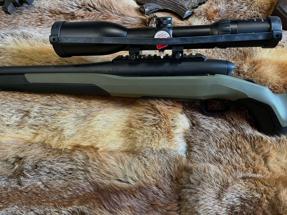 Steyr MS Wild