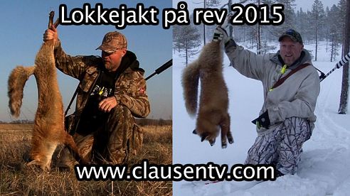 Lokkejakt på rev 2015. Ligger nå ute på Clausen TV