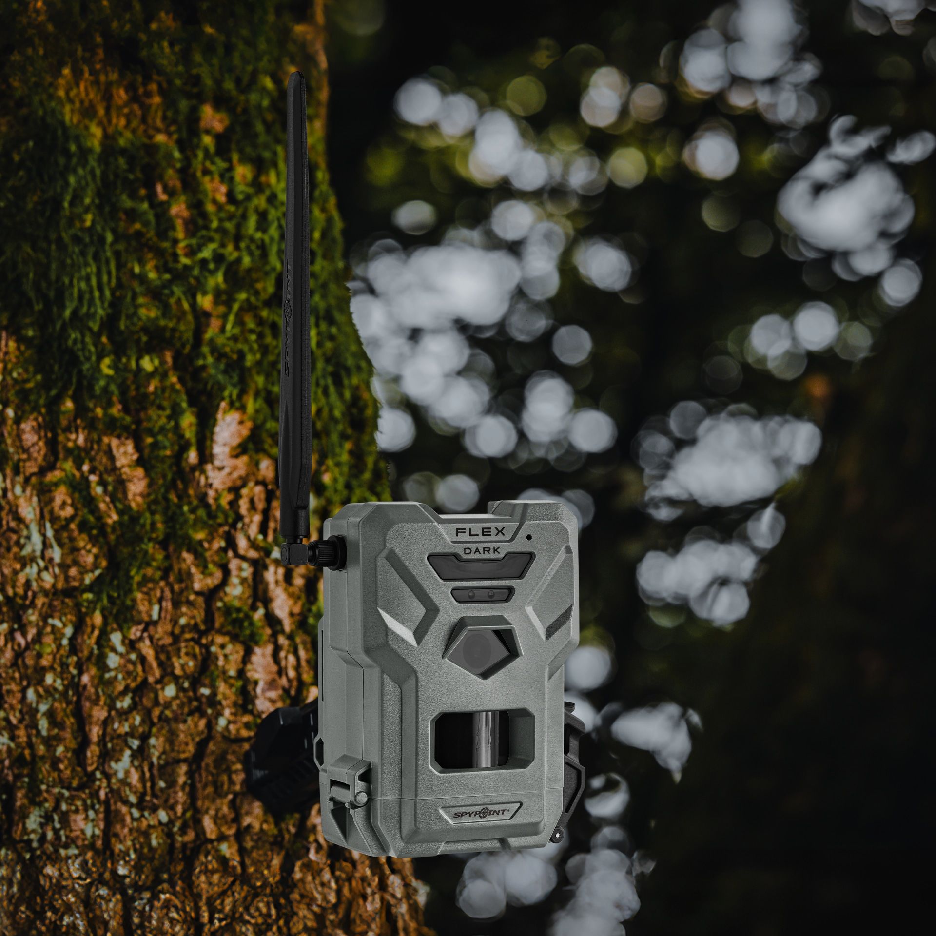 Pack mit zwei FLEX-DARK Foto-Boxen + enthaltene SPYPOINT Speicherkarte, Bild 8 von 8