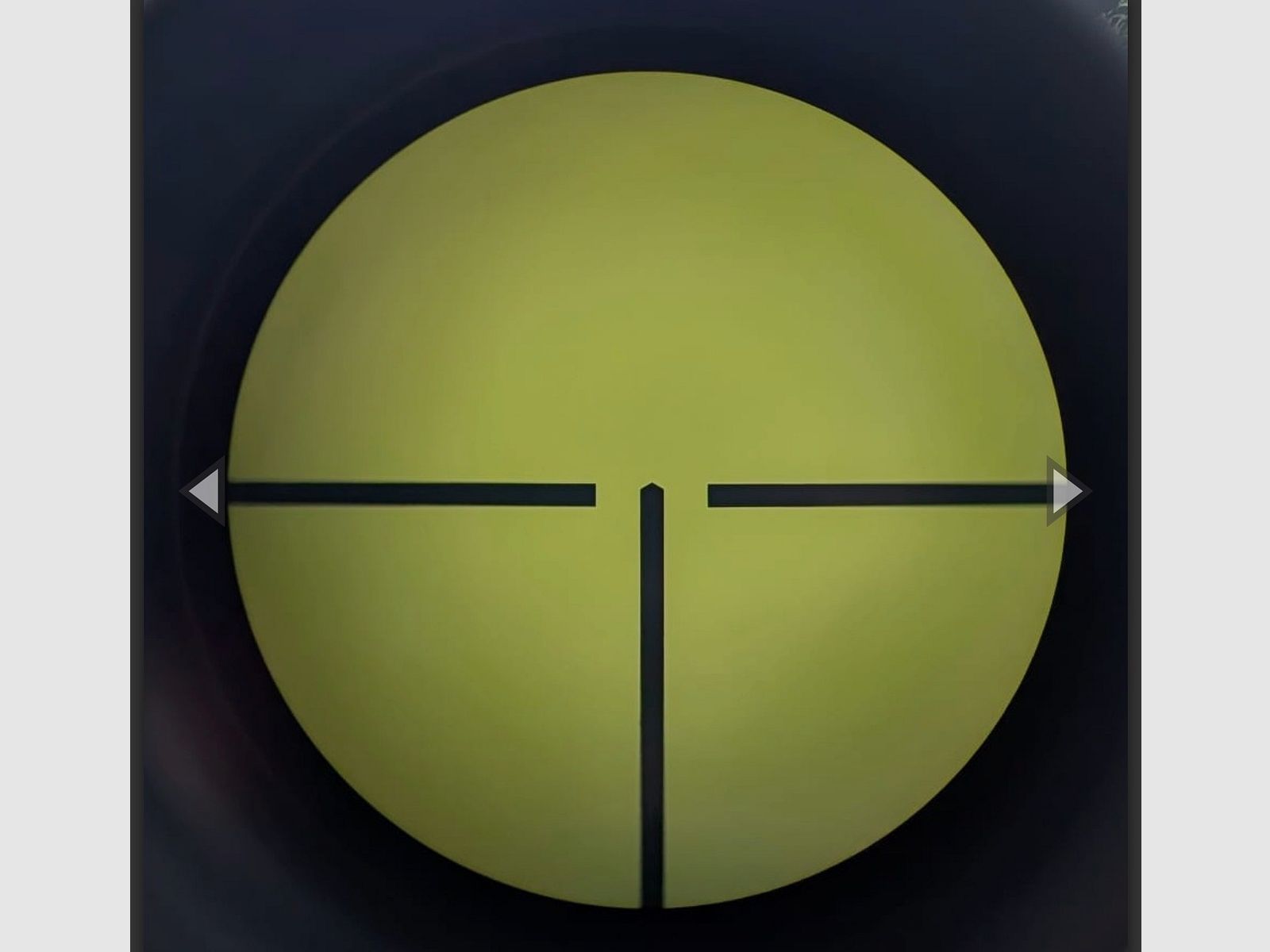 Swarovski Habicht 2.5-10x56 scope, EPARMS adapter