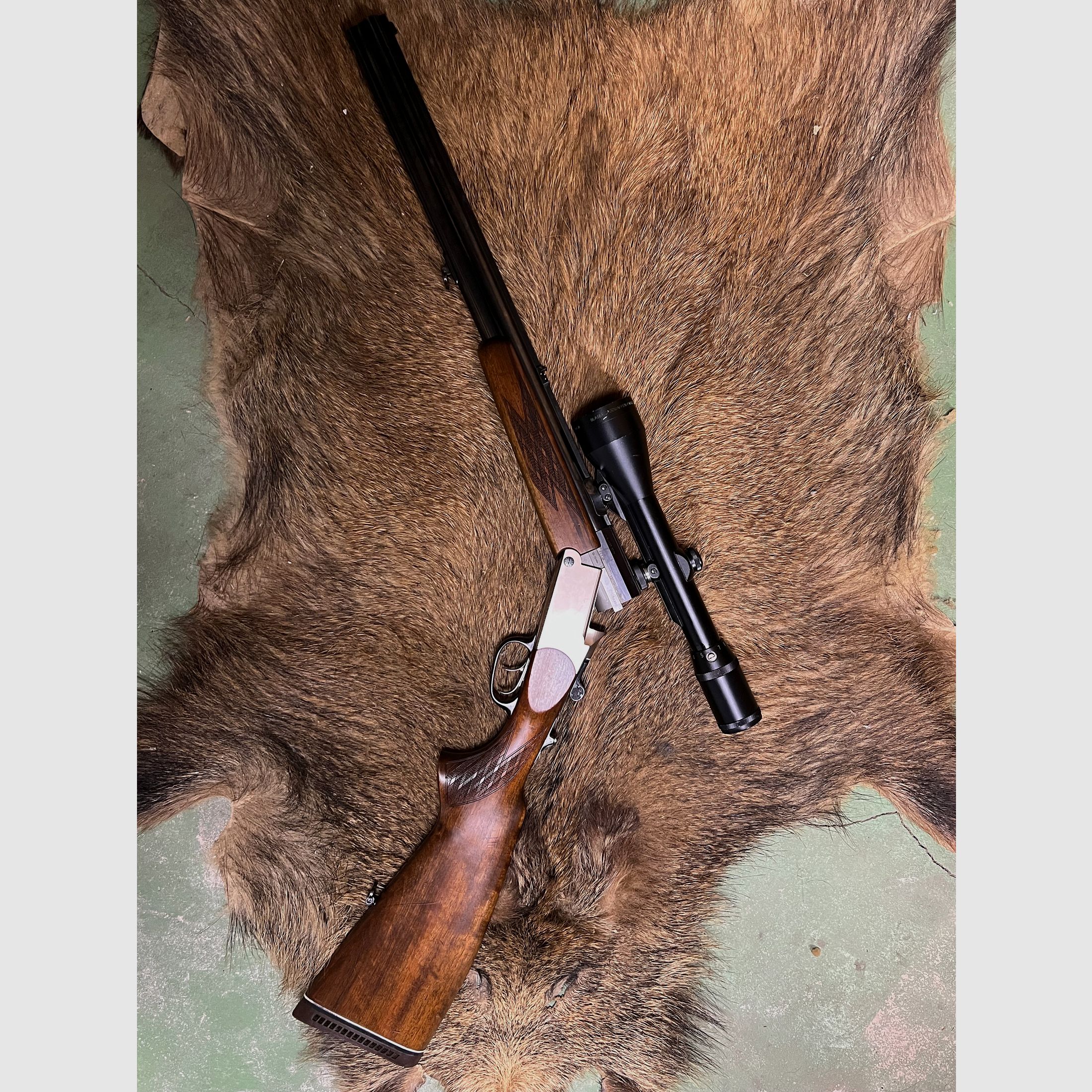 Blaser BBF 30-06 + 12/70