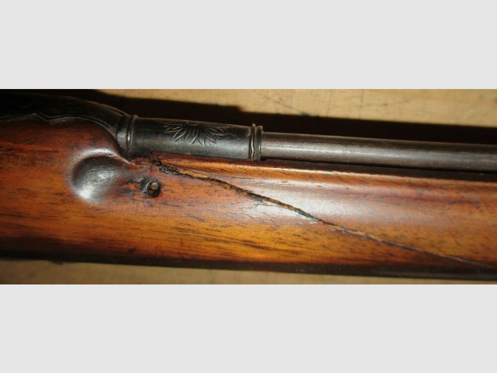 Peter Volkmann Vienna