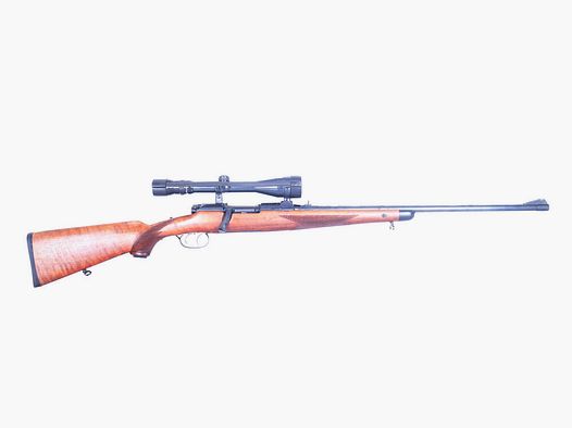 Steyr Steyr-Mannlicher GK