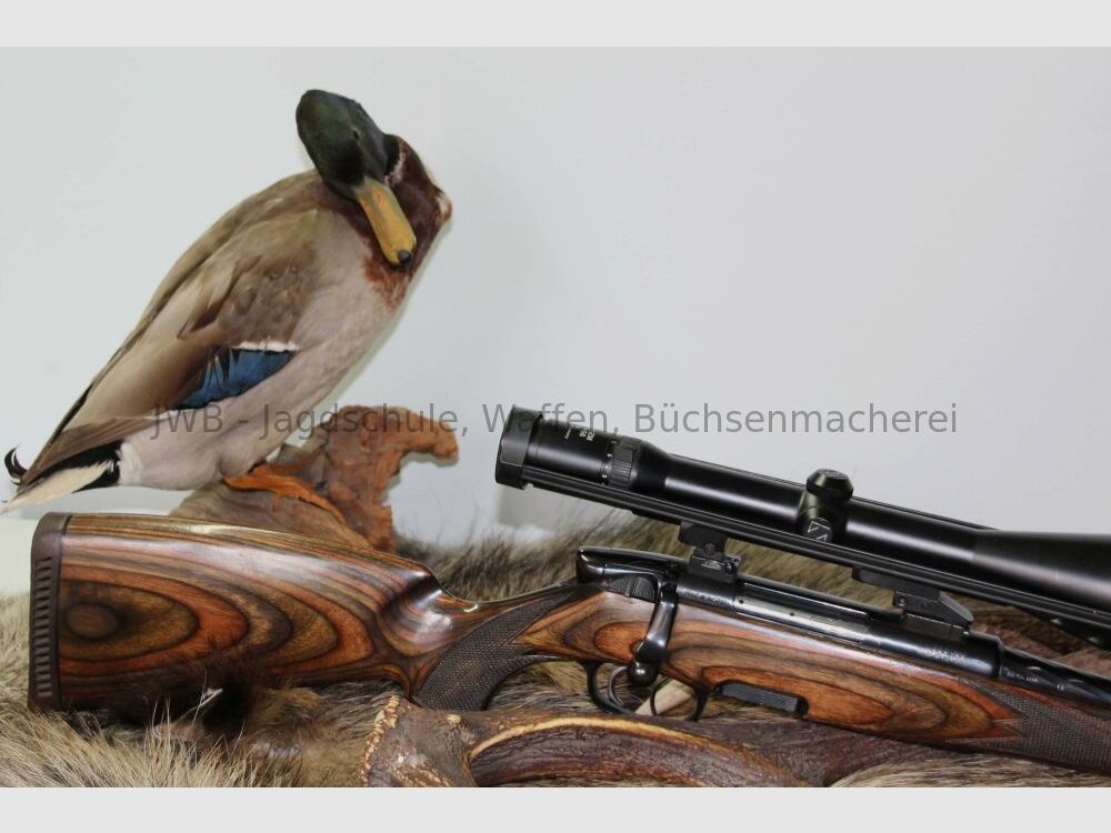 Steyr Mannlicher Jagdmatch L mit Zeiss Diavari .308Win