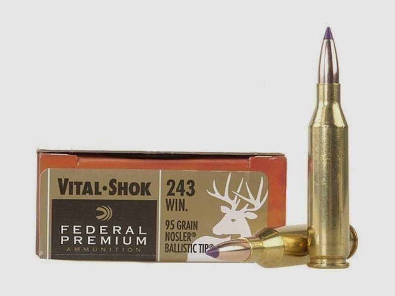 Federal Premium Nosler Ballistic Tip Hunting .243 Win. 95GR 20 Patronen