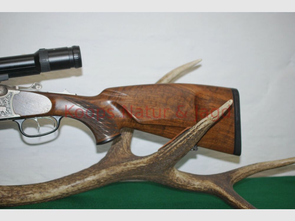 Blaser B95
