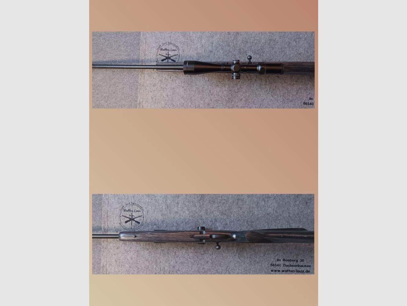 CZ Arms Mod. 527 mit SD Roedale Hunter und ZF Delta 4-24x50HD