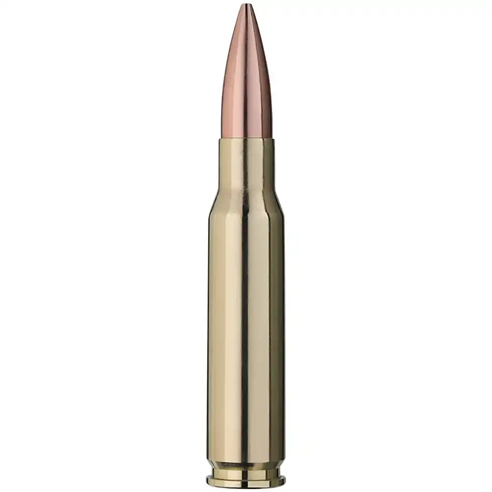 RWS .308 Win. Target Elite Plus 10,9g 168gr, Bild 3 von 3