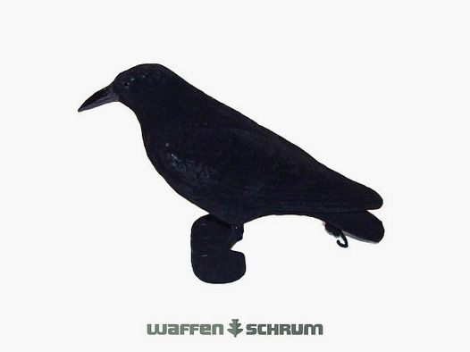 Full-body lock crow flocks raven crow