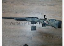 Bergara B14