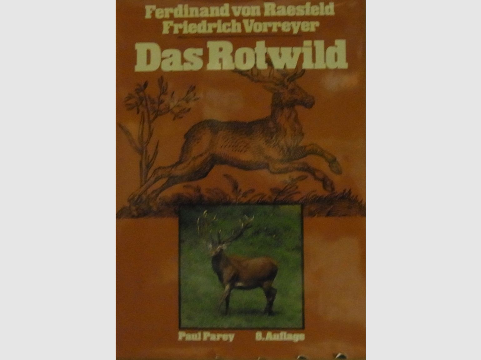 Das Rotwild