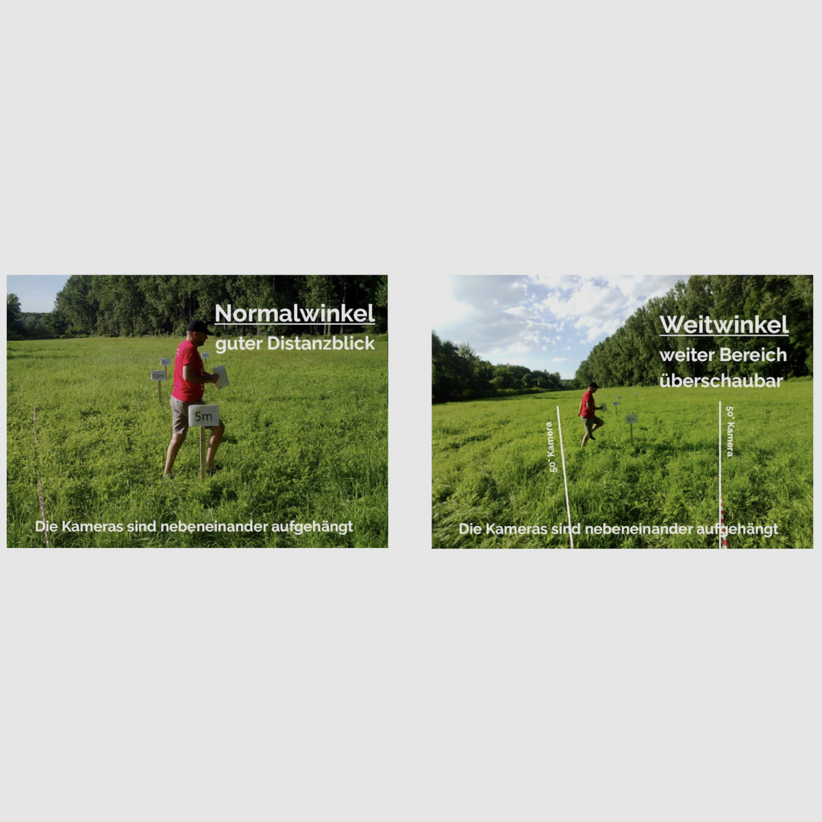 Wildkamera 4G-Set «Die Schnellste», Bild 5 von 32