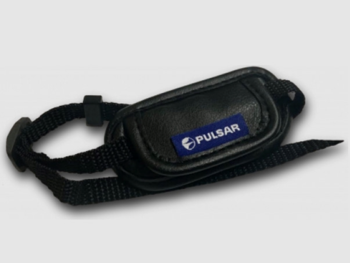 Pulsar Axion Polsband