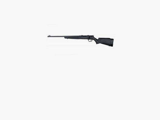 Carabine Savage B22 F .22LR