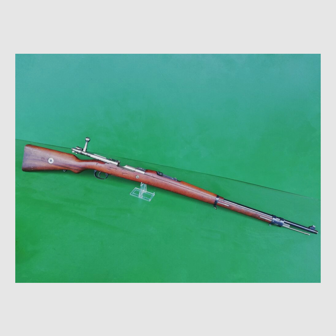 Brasilienmauser 1908