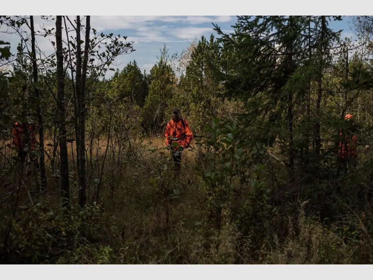 Deerhunter Signaljacke Protector