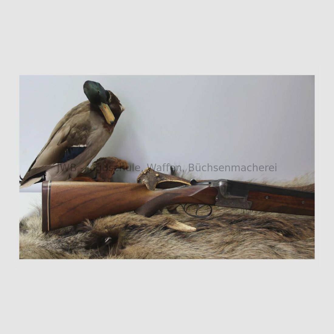 Light and manageable Merkel shotgun 16/70