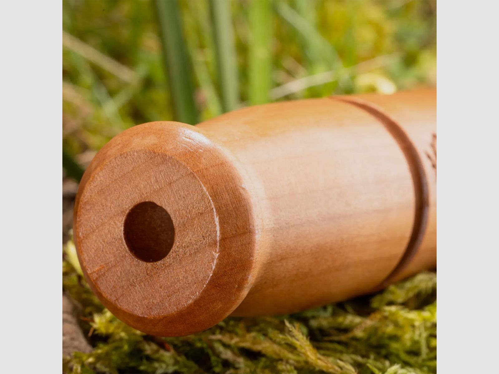 Weisskirchen Rabenkrähenlocker