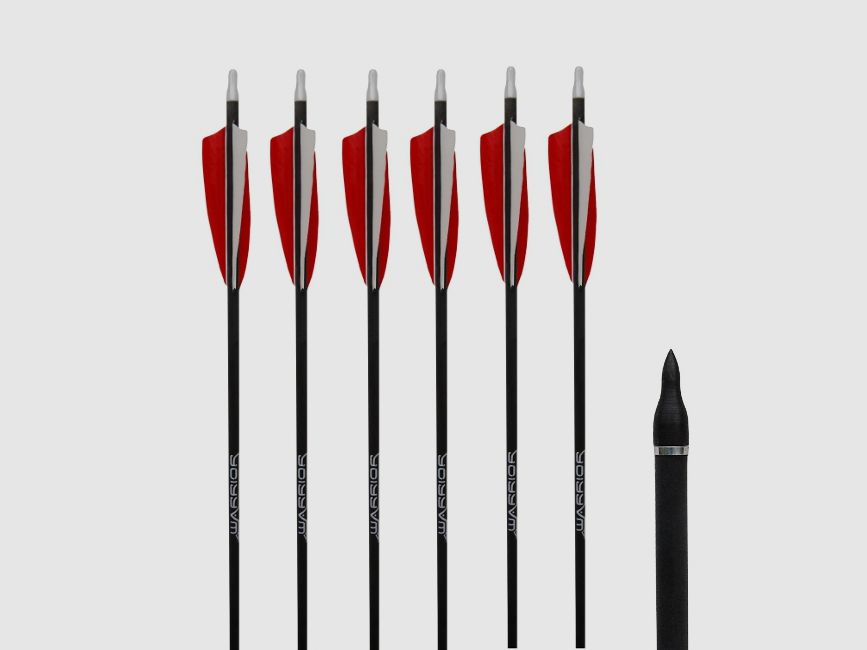 Gold Tip 6er Pack Warrior Carbonpfeil mit Naturfeder, Bestseller! 30'' 600